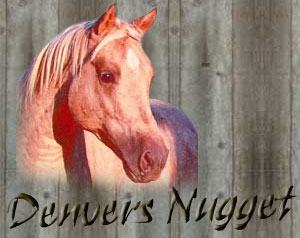Denvers Nugget